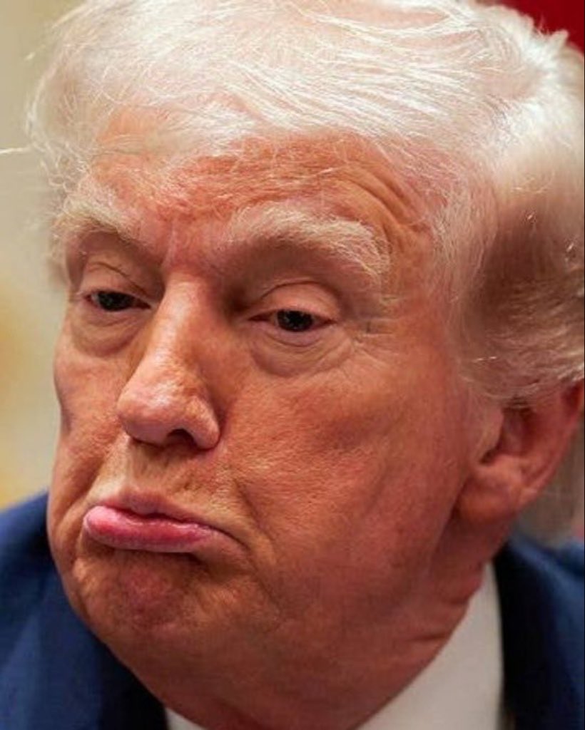 Don’t be a MAGA victim. tweet media