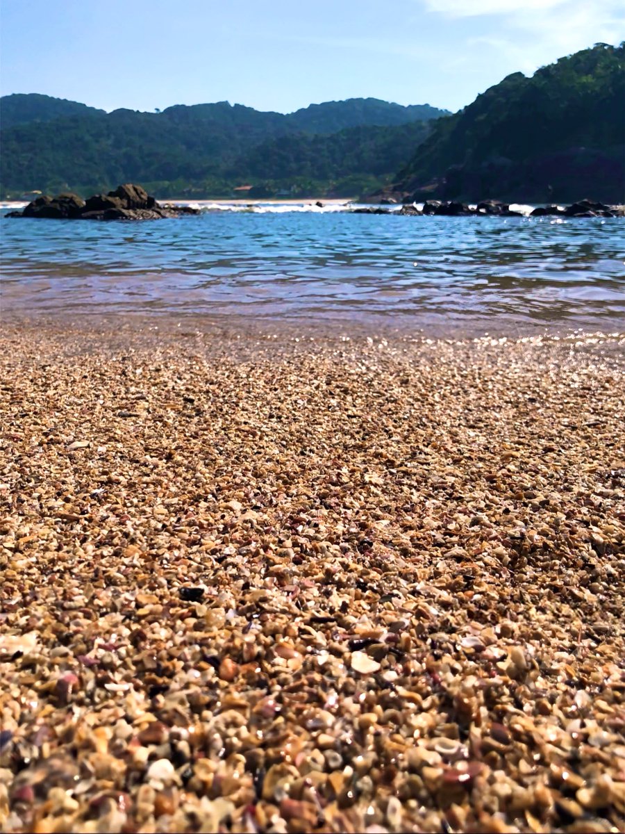 Lina 🌊🐳 tweet media