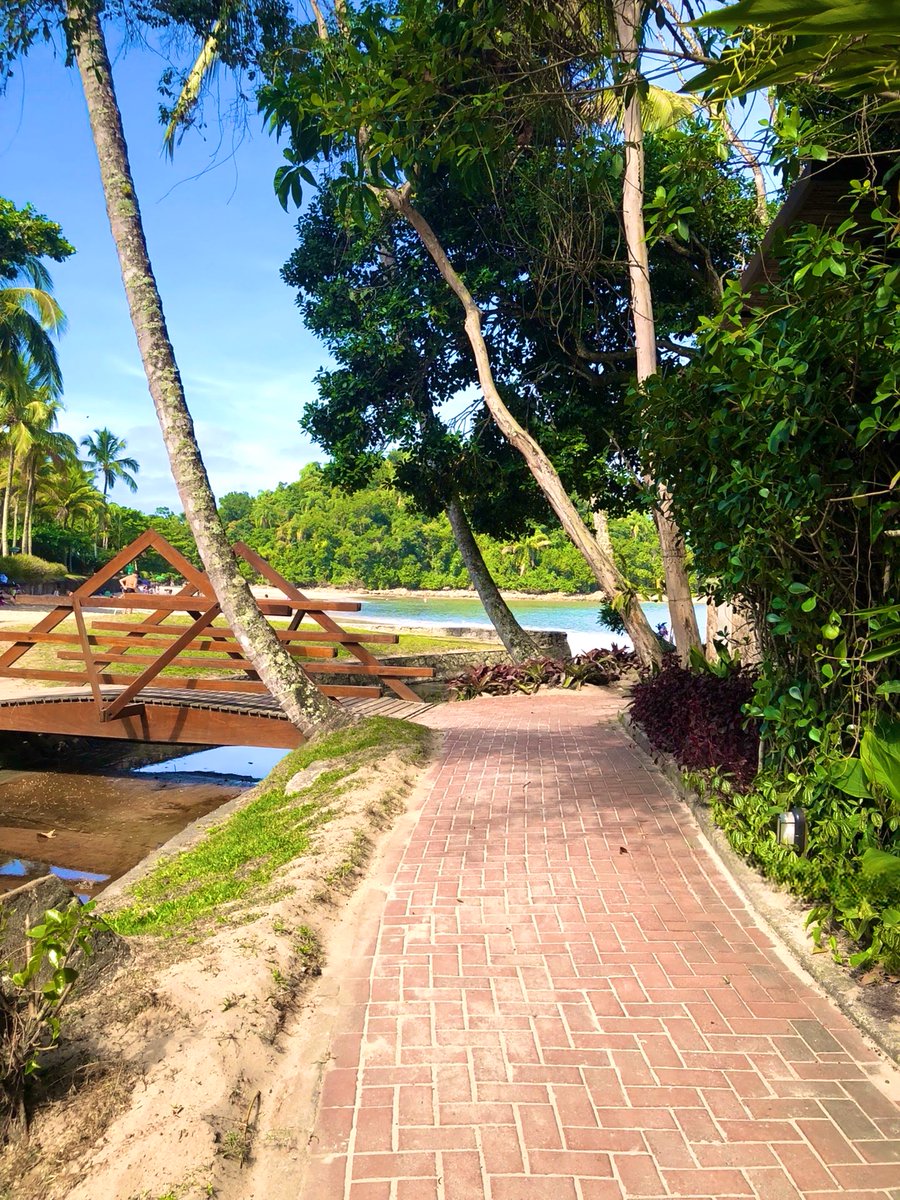 Lina 🌊🐳 tweet media