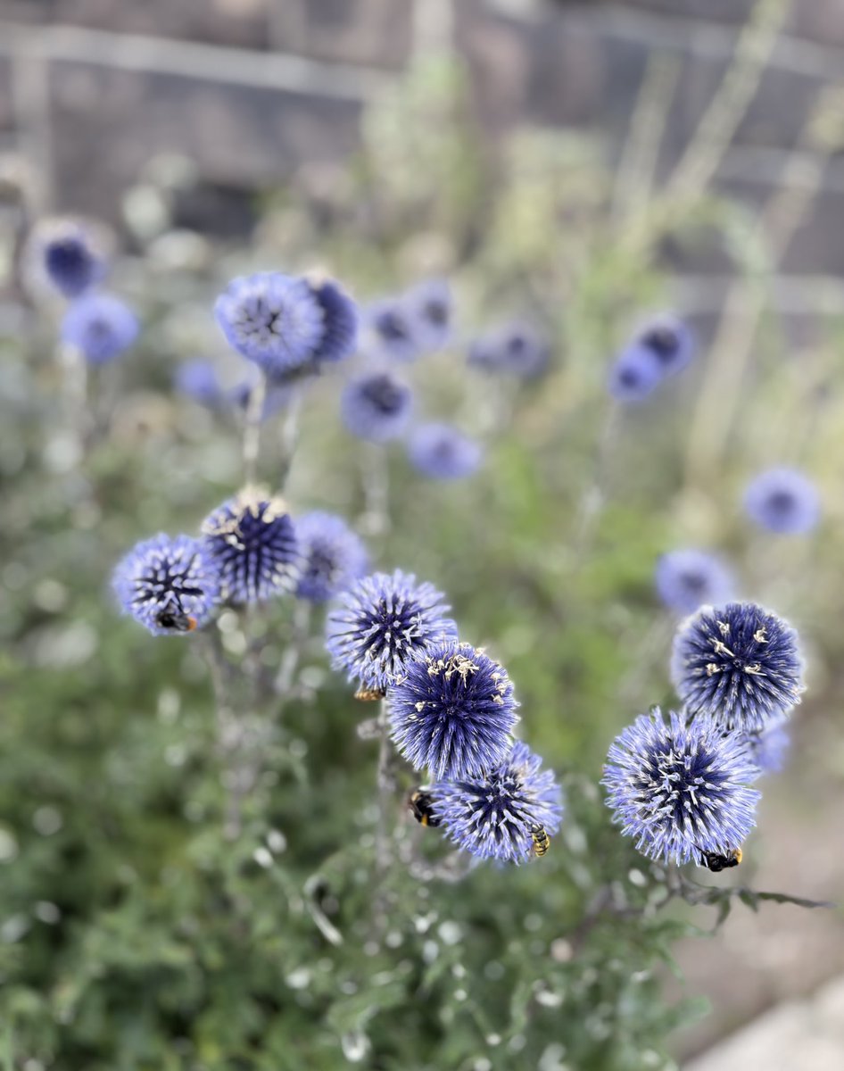 Whispers tweet media