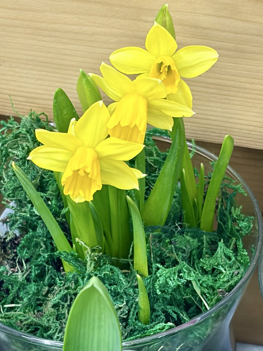 Rtgoddess2 tweet media