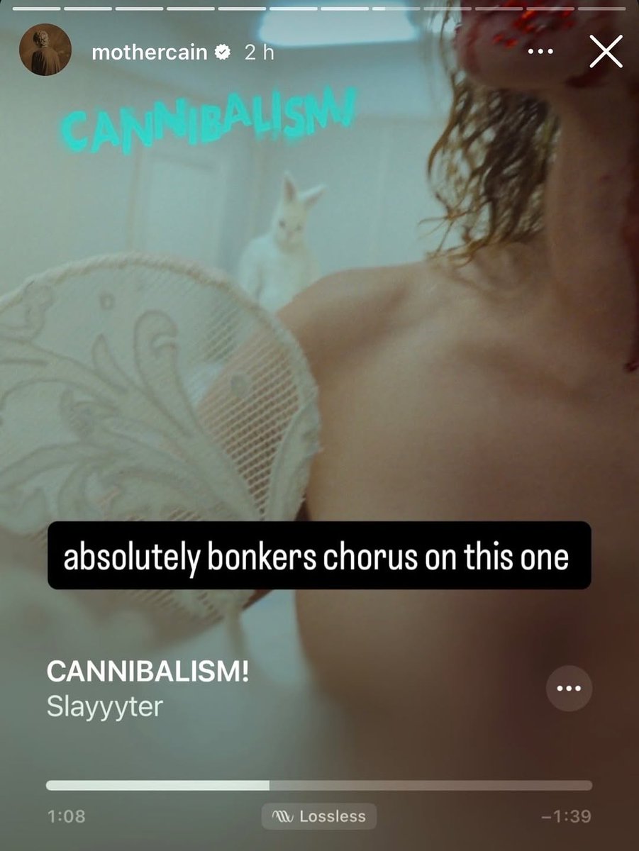 Ethel Cain Updates Brasil ♡ tweet media