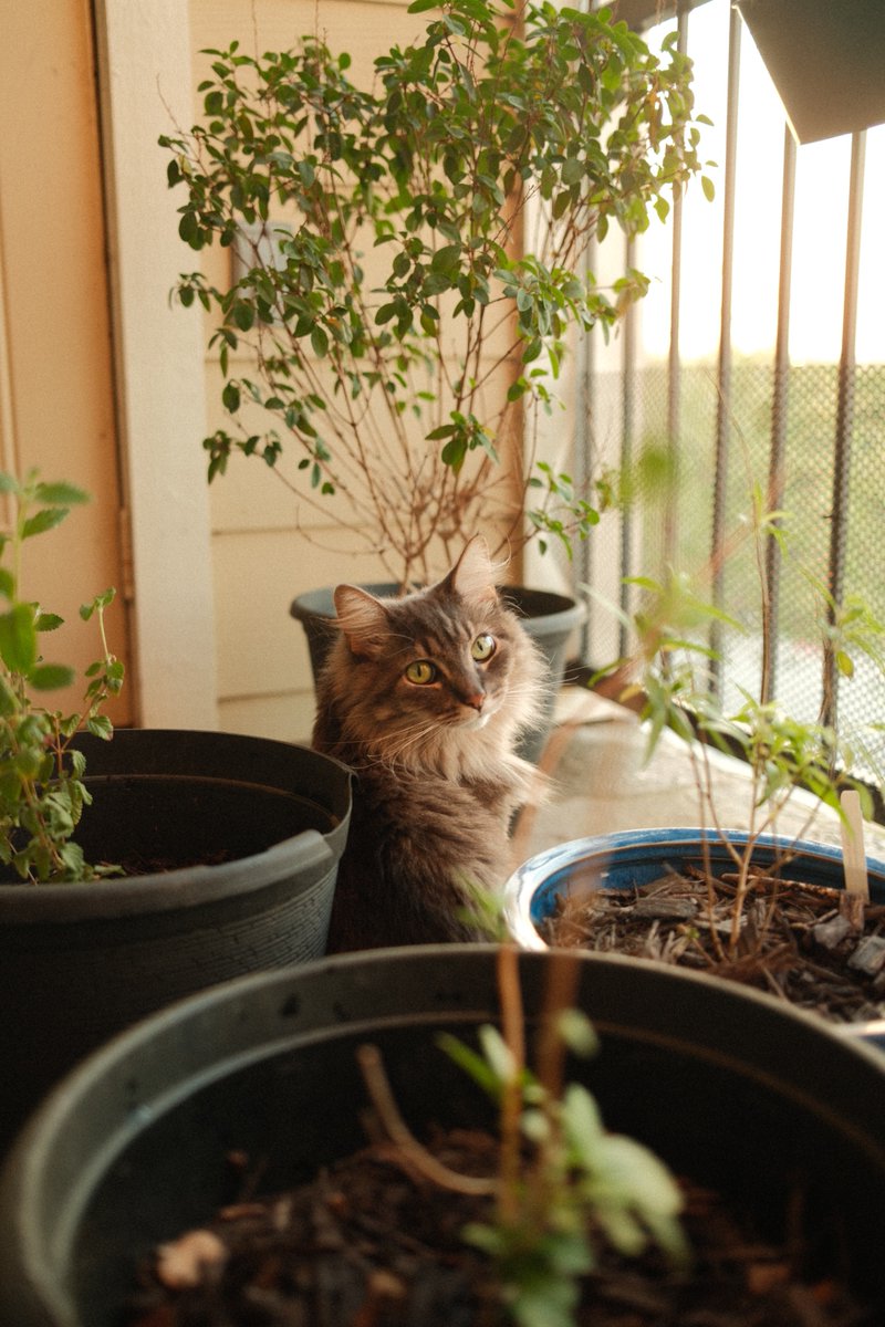 ummy ⌐◨-◨ tweet media