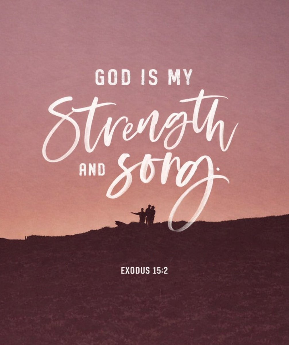 The Bible tweet media