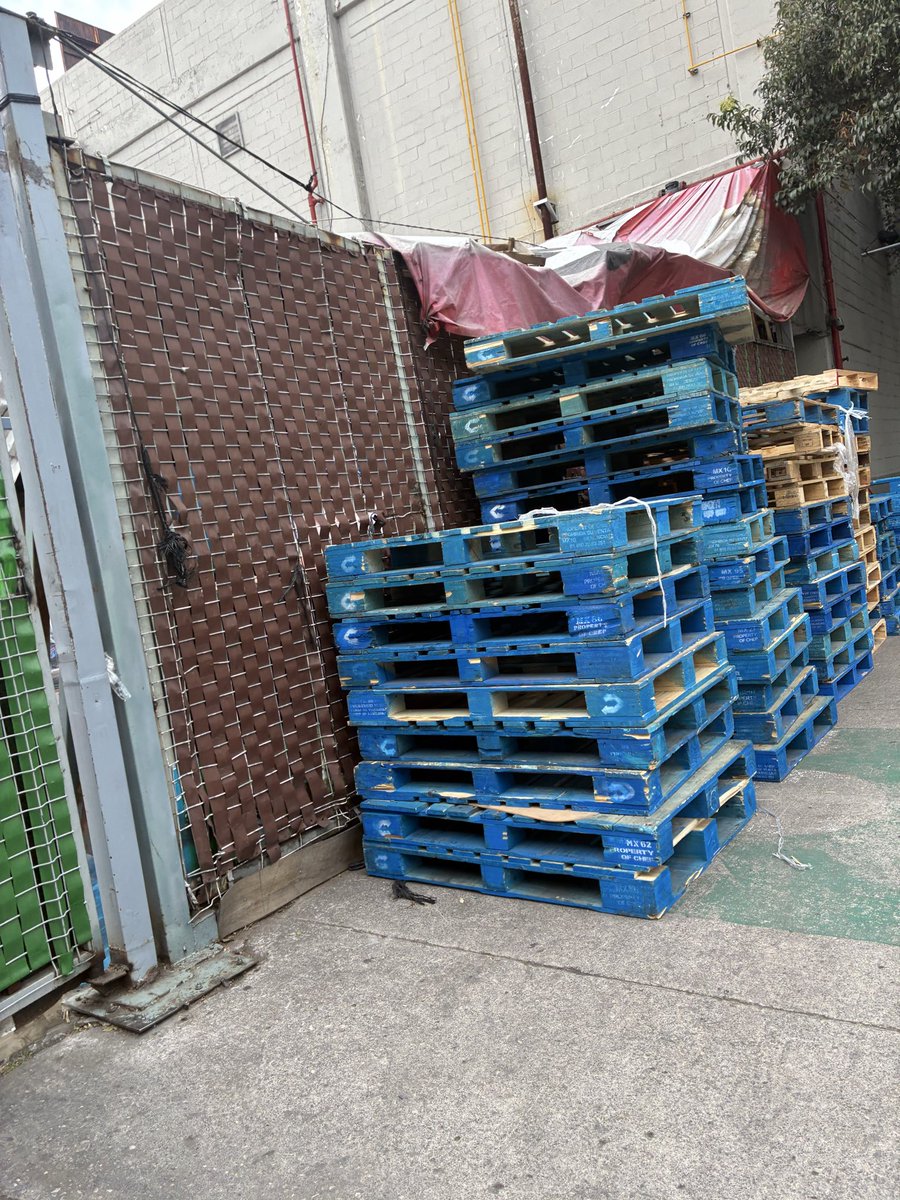 Alejandro tweet media