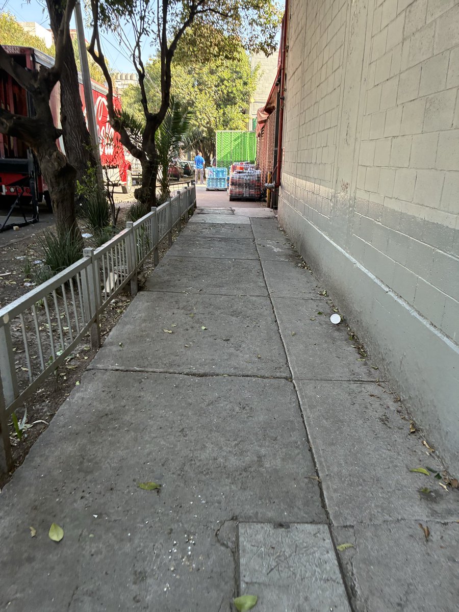 Alejandro tweet media