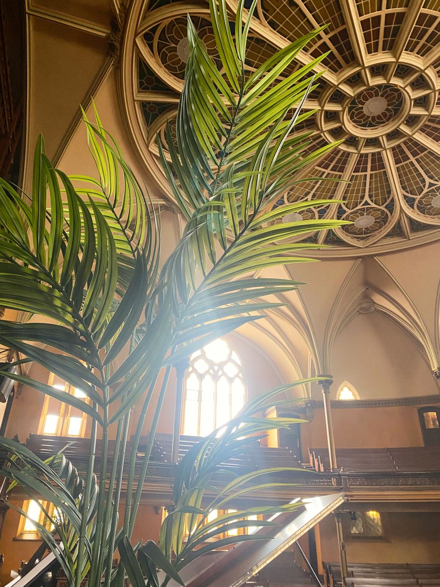 JSBChurch's tweet photo. Join us March 29th for Palm Sunday. 🌿✝️

11AM
Sermon: Save Us in an Unknown Land
Text: Daniel 1:1-21
Preacher: Nathan Nadeau
https://t.co/ke8mLHrIvB

6:30 PM
Sermon: Poor Little Rich Boy No Longer
Text: Galatians 4:1-7
Preacher: Tom James
https://t.co/m5rUGZpVh8 https://t.co/8lPcEdZwuK