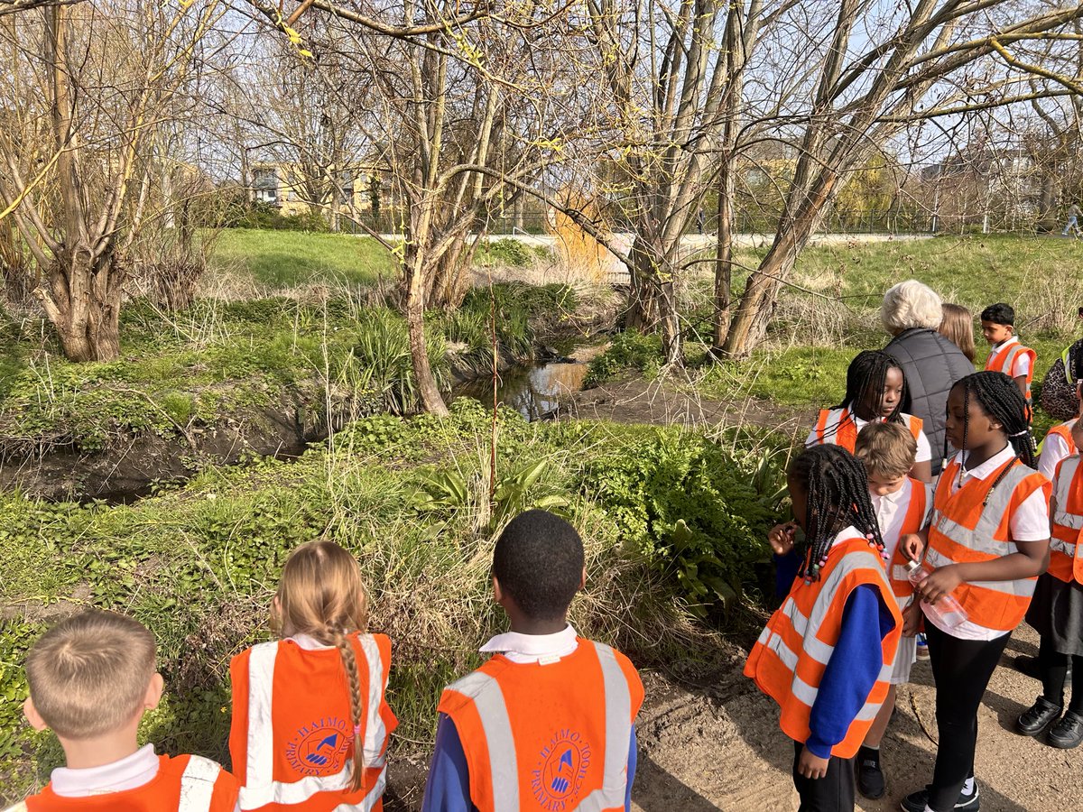 Haimo Primary School tweet media