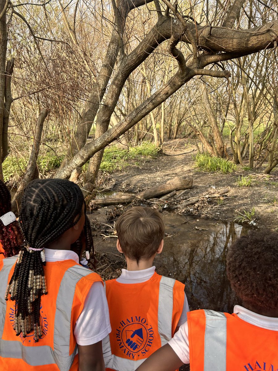 Haimo Primary School tweet media