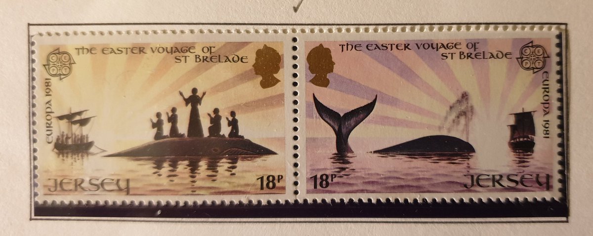 Shane McDonnell tweet media