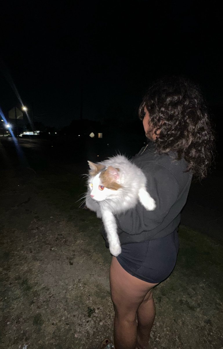 heyzelbb's tweet photo. Mi gatita 😍🌸 https://t.co/xt4oaMiXc5