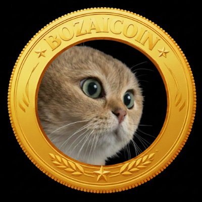 BozaiCoin's tweet photo. @Bitcoin https://t.co/XNRNlJXj6o