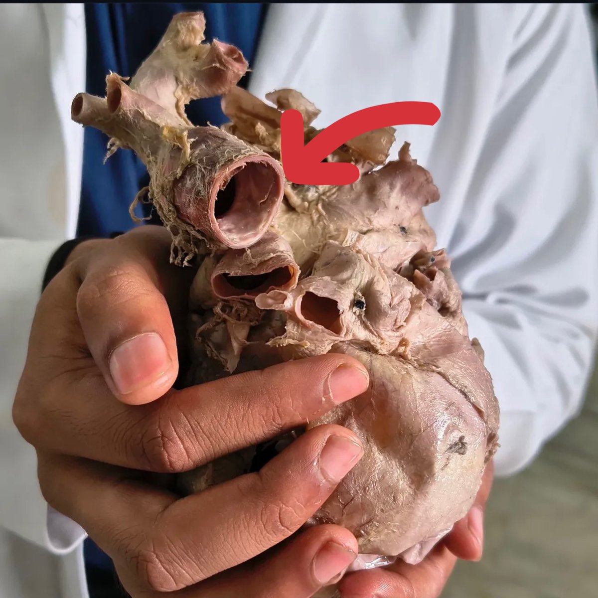 SAGE MEDICAL⚕️ tweet media