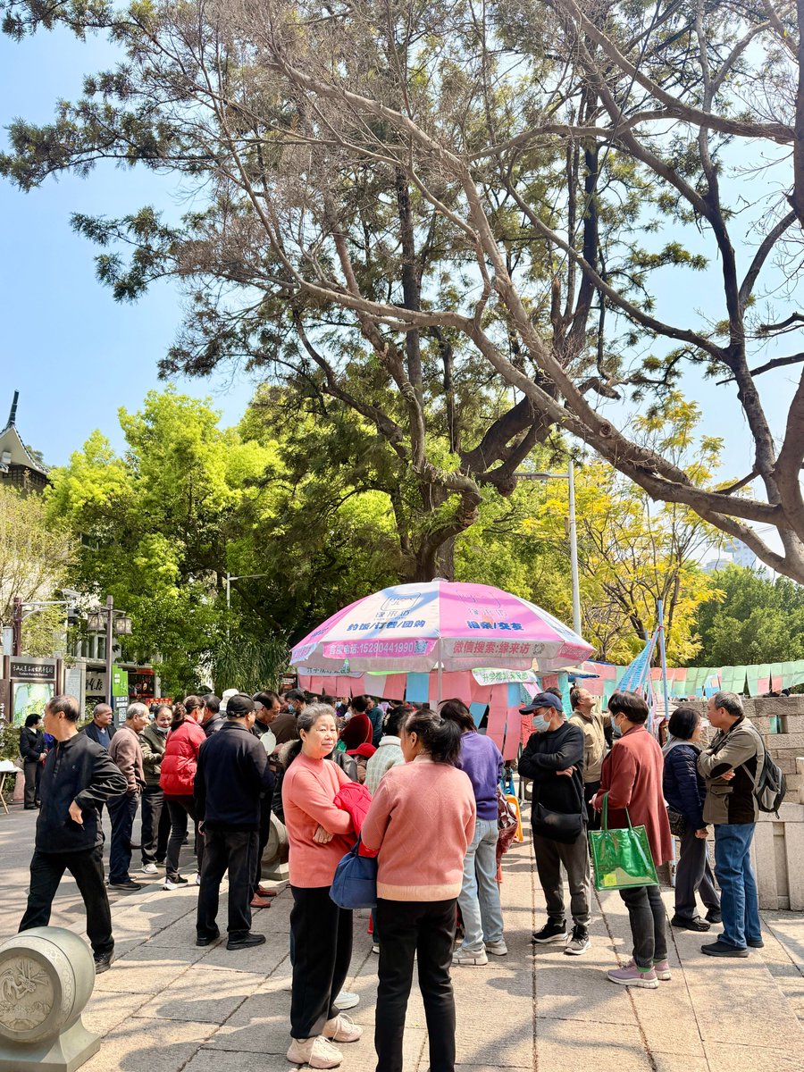 清风拂心弦 tweet media