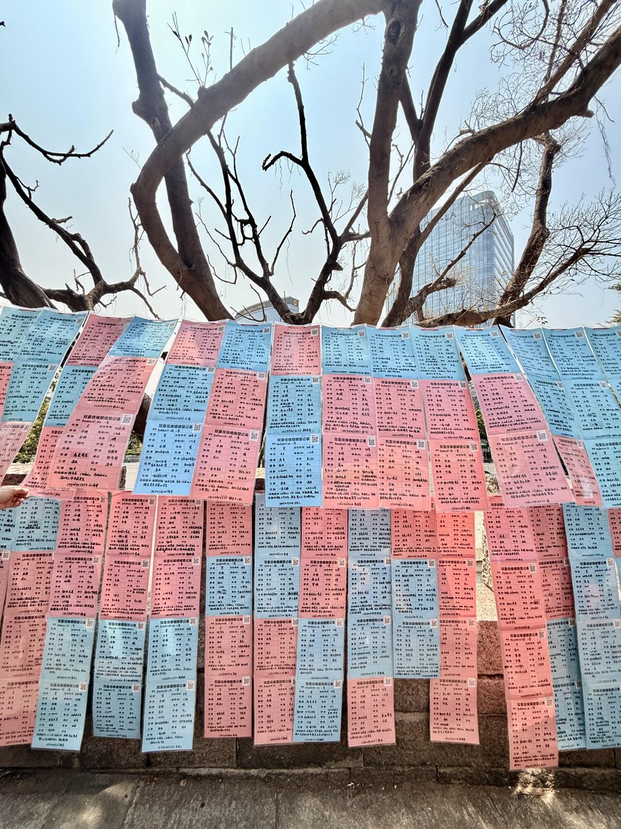 清风拂心弦 tweet media