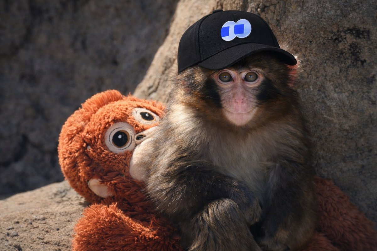 Father Meme tweet media