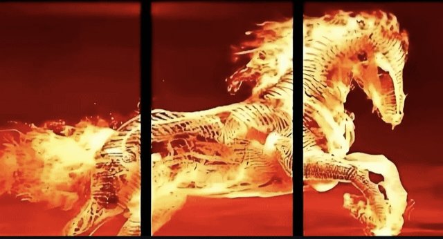 Liam Shawd tweet media