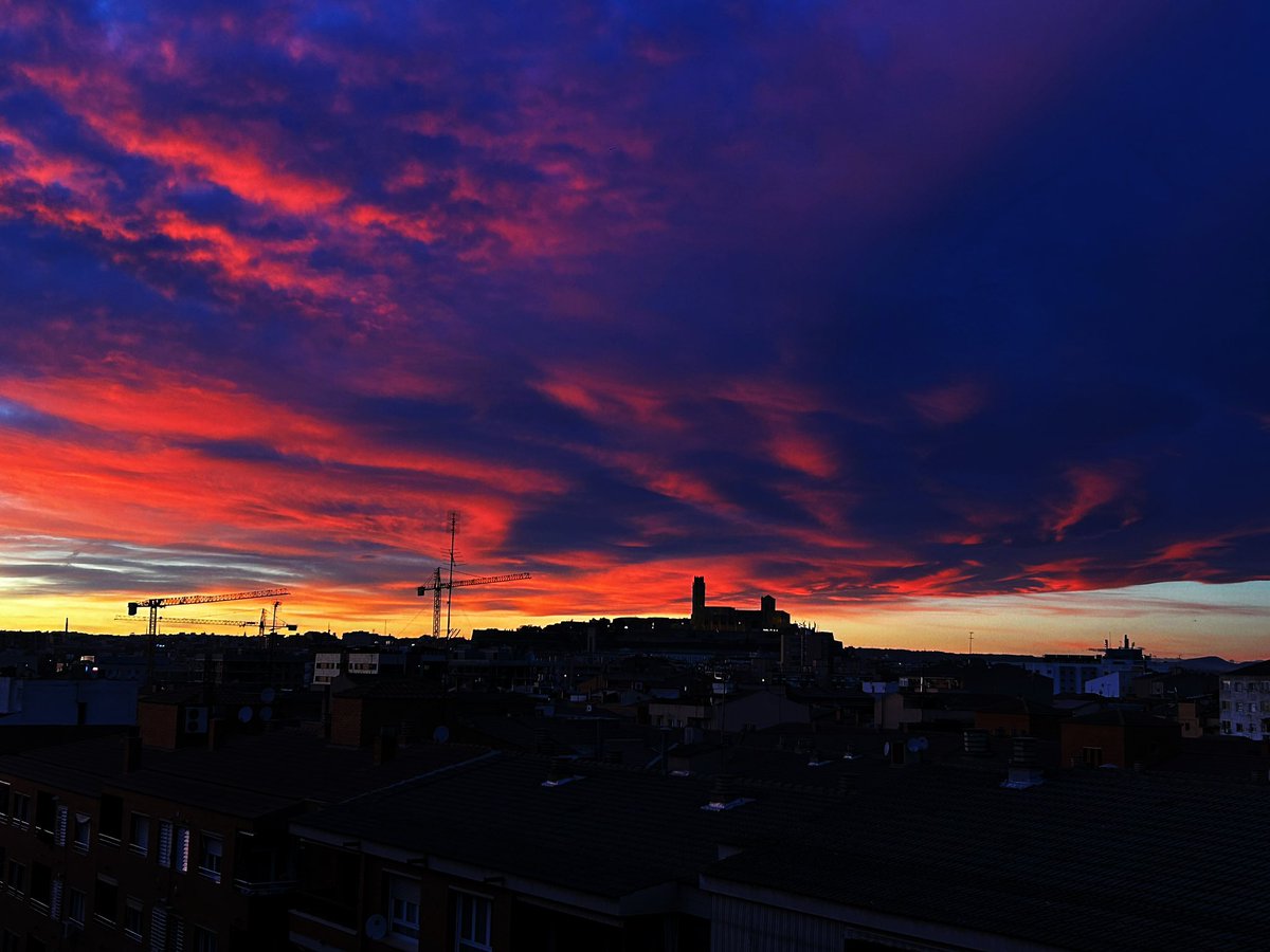 D🟣L🟢®️💲 tweet media