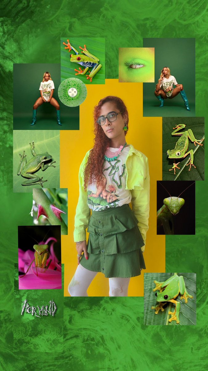 Iara Vita tweet media