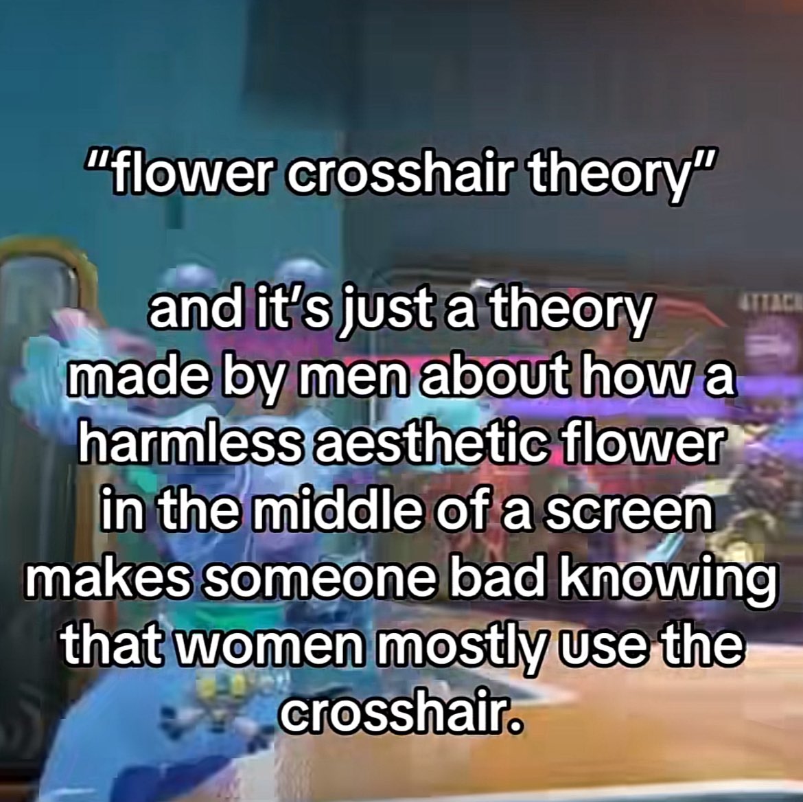 liah 🦭♡ tweet media