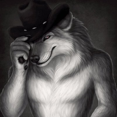 connor tweet media