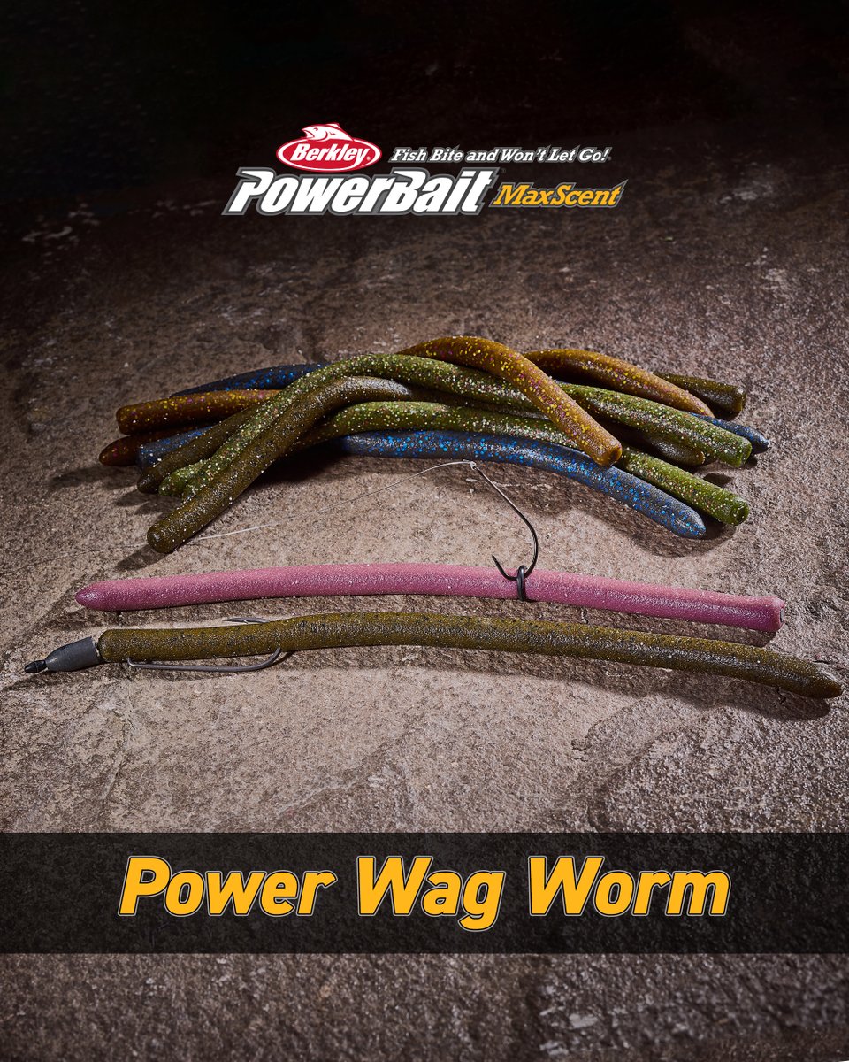 Tackle Warehouse tweet media