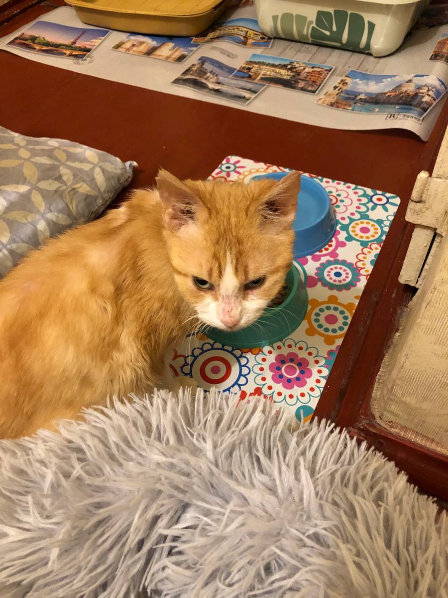 𝓦𝓲𝓷𝔂𝓪 tweet media