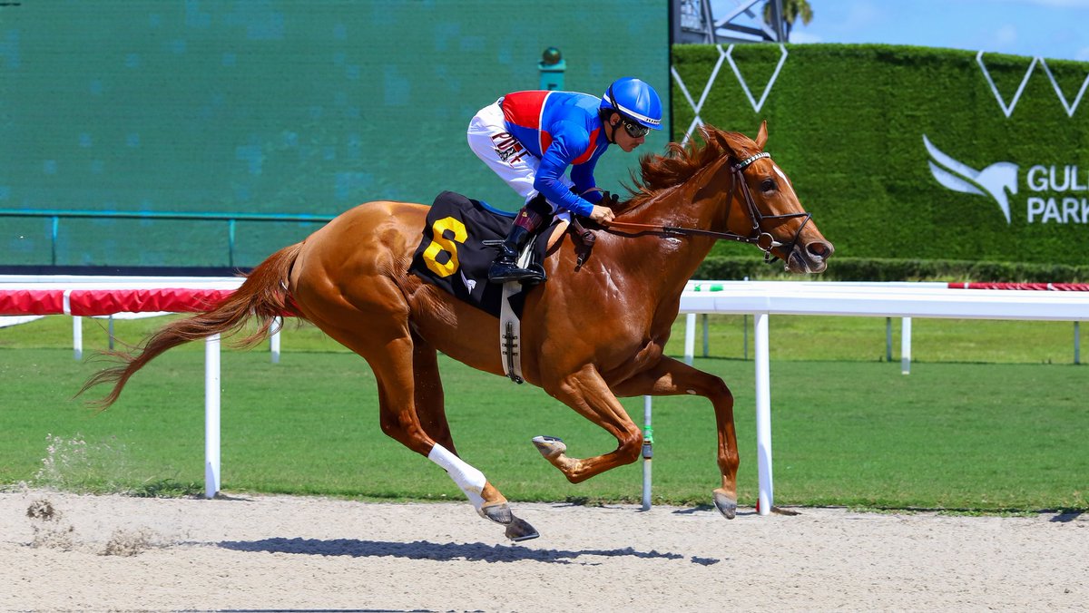 Gulfstream Park tweet media
