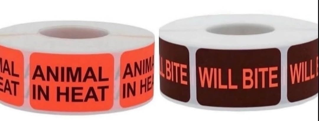 ๏ผสแดสษดแดแดโ.แ tweet media