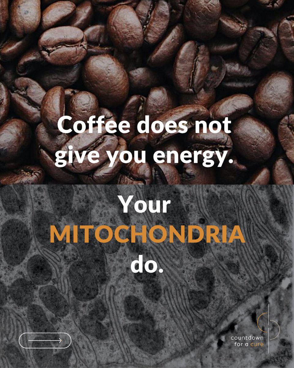 Countdown For A Cure tweet media