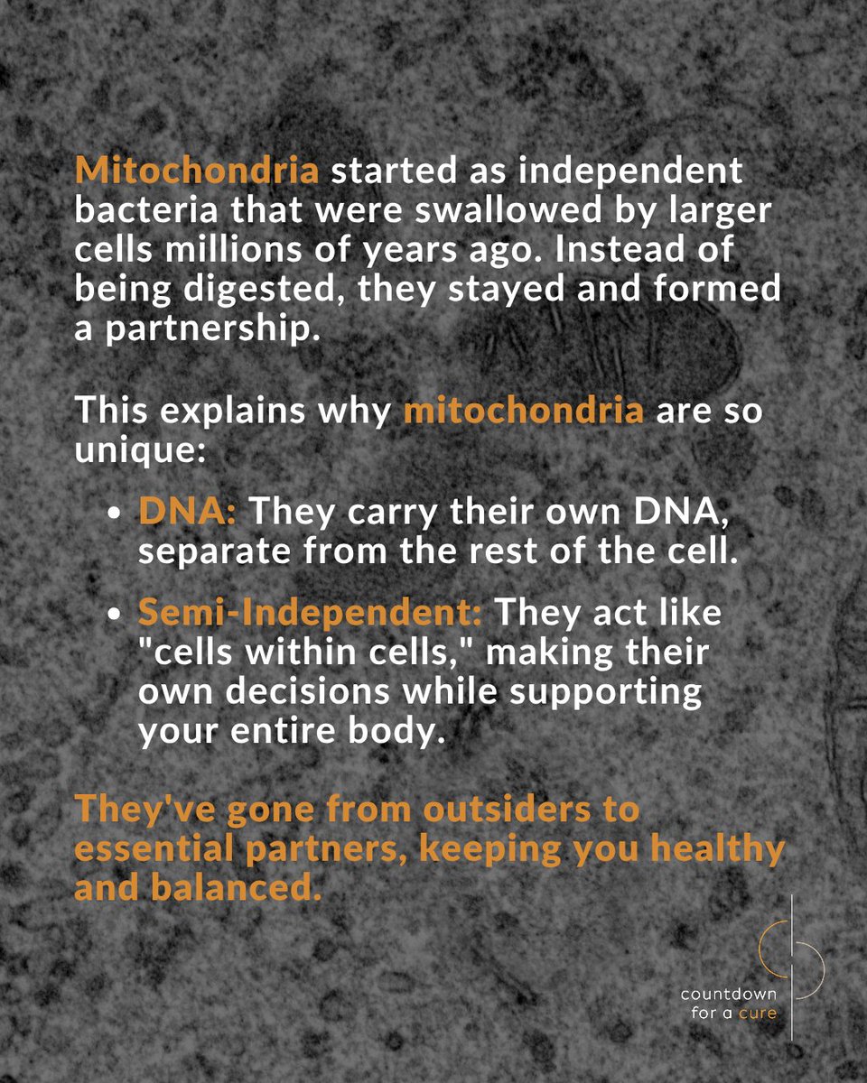 Countdown For A Cure tweet media