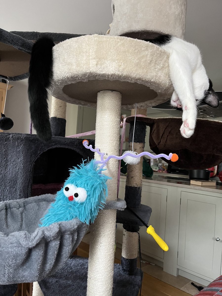 owen clark tweet media