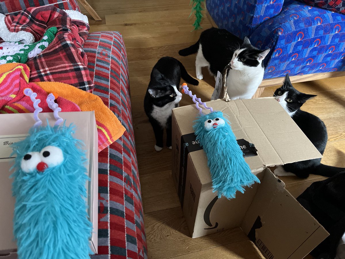 owen clark tweet media