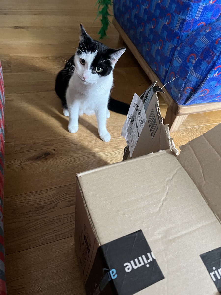 owen clark tweet media