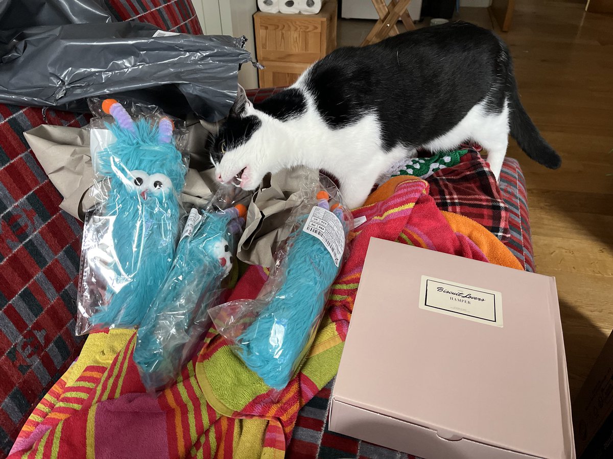 owen clark tweet media