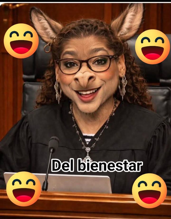 CandyHoneyLiz's tweet photo. La #ministraburra es más fluida cuando dice leperadas en la vecindad, que con la lectura. https://t.co/k9NGPu6aGQ