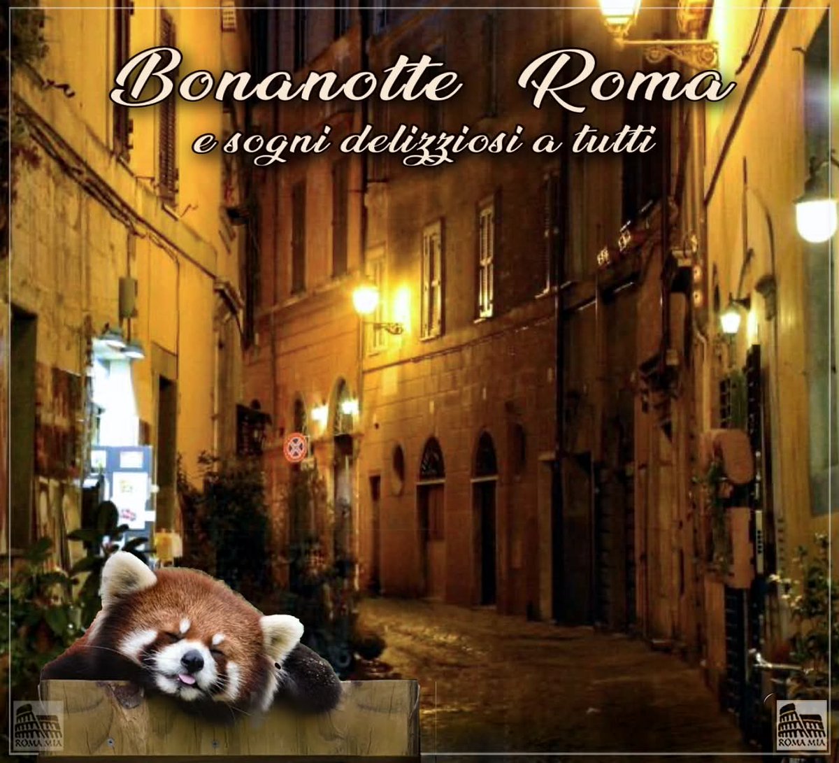 RicDeBURGIS tweet media