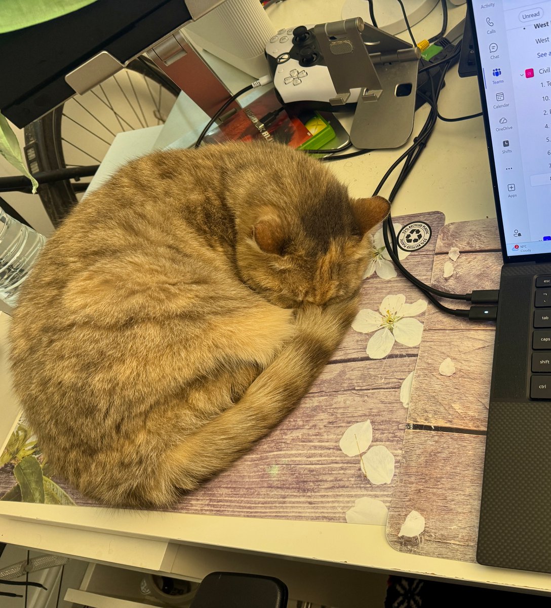 ULTIMa Ivanov tweet media