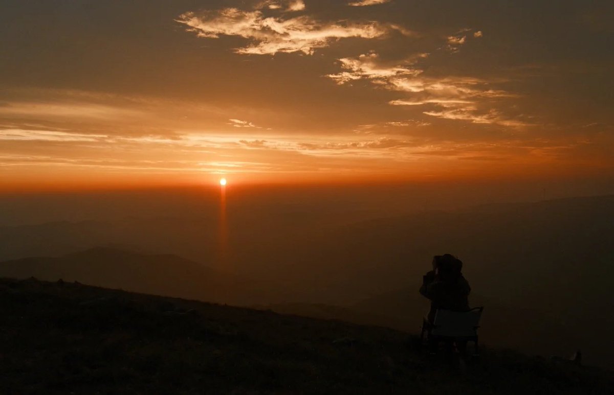 Joanne Jackson tweet media