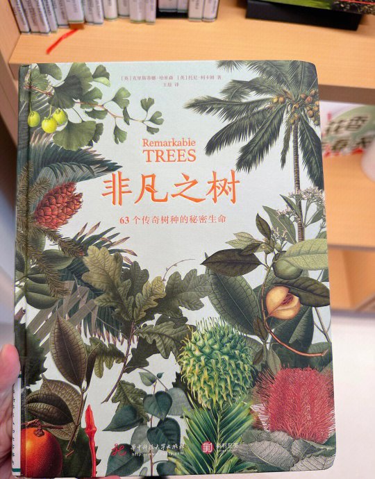 Courtnie Matuch tweet media