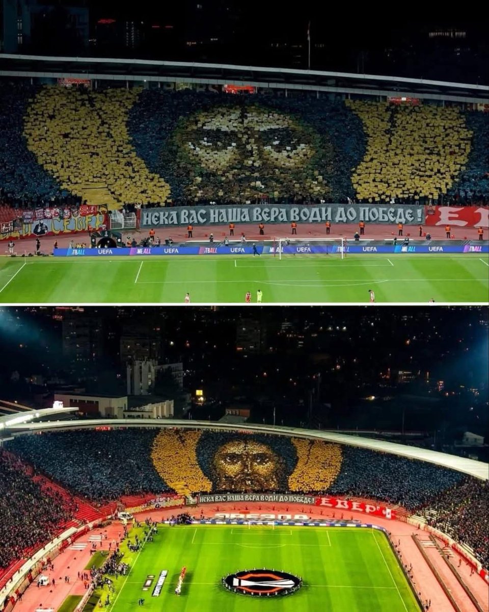 MisterChiton tweet media