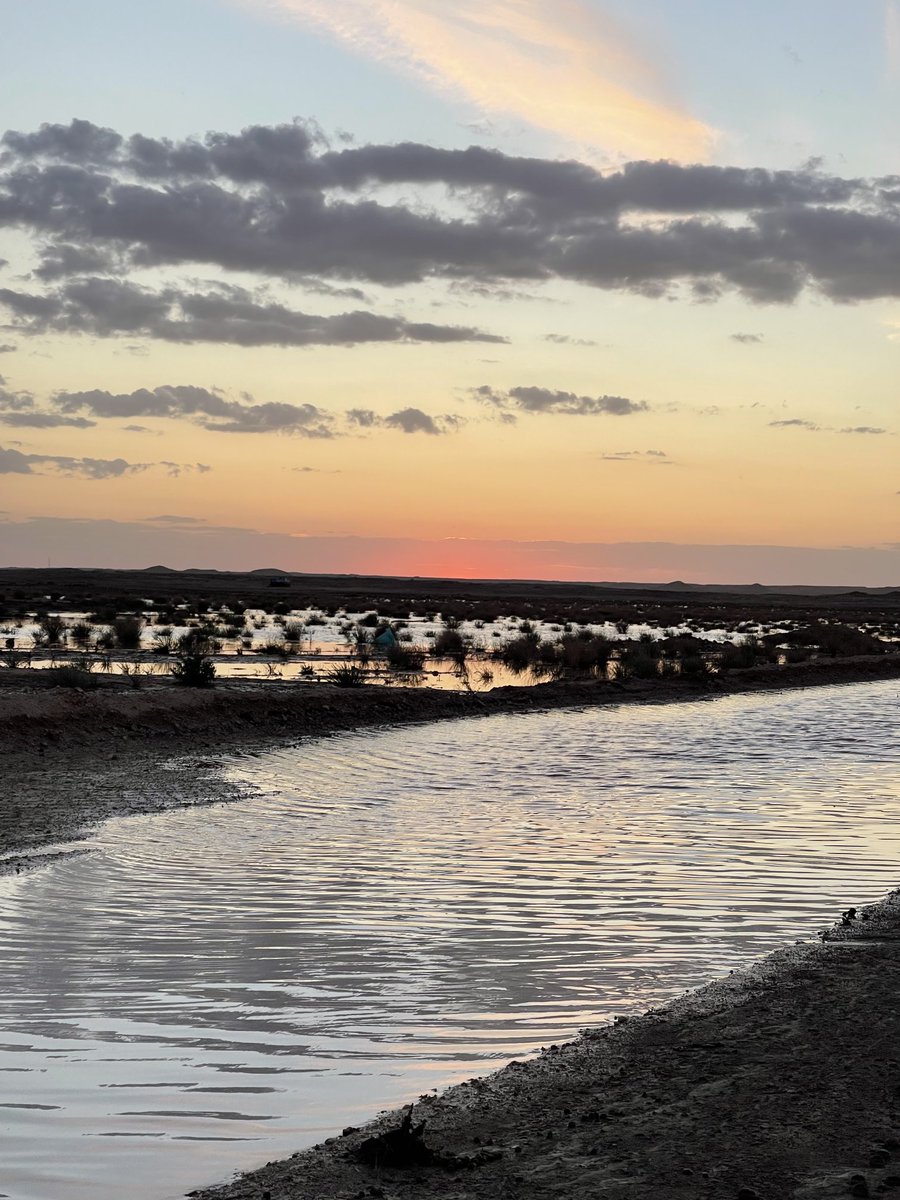 عقل الضميري tweet media