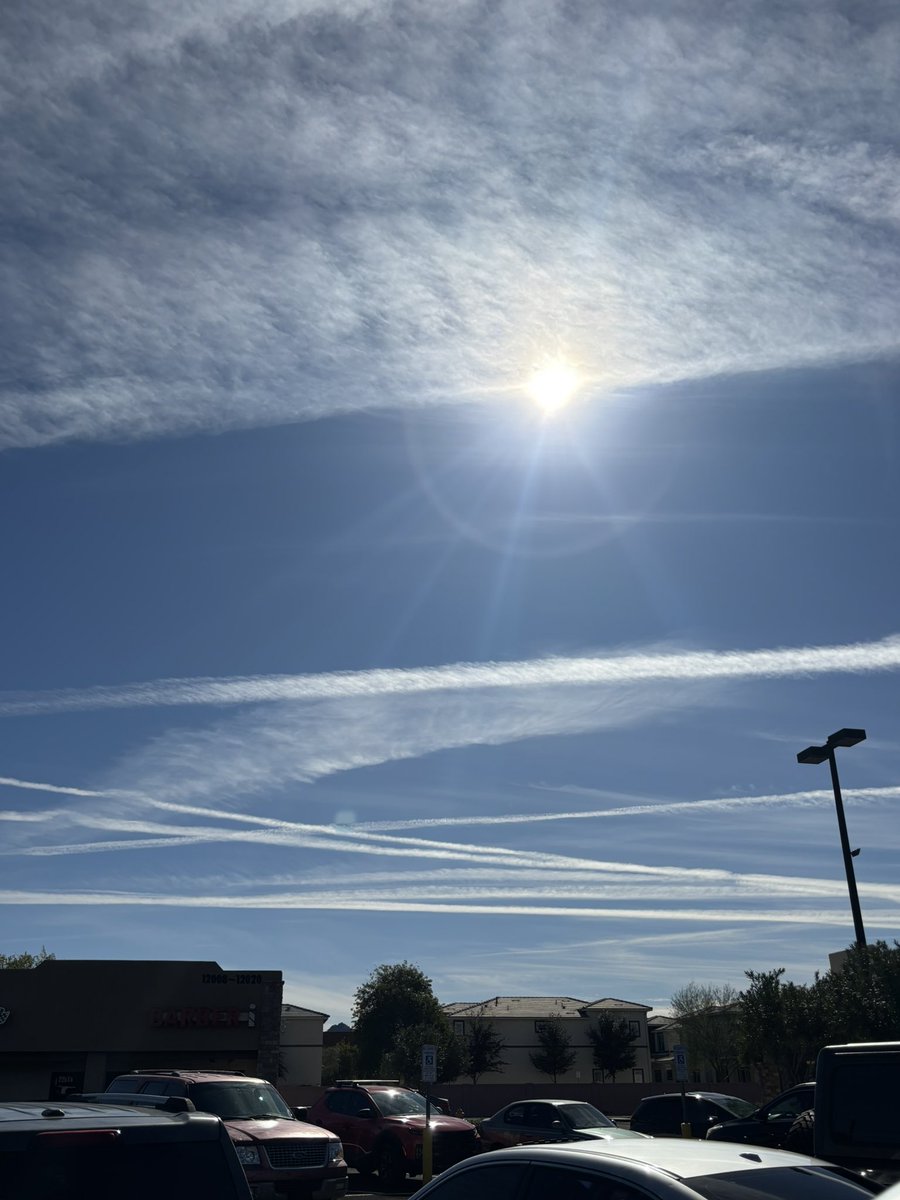 lydia sweetland tweet media