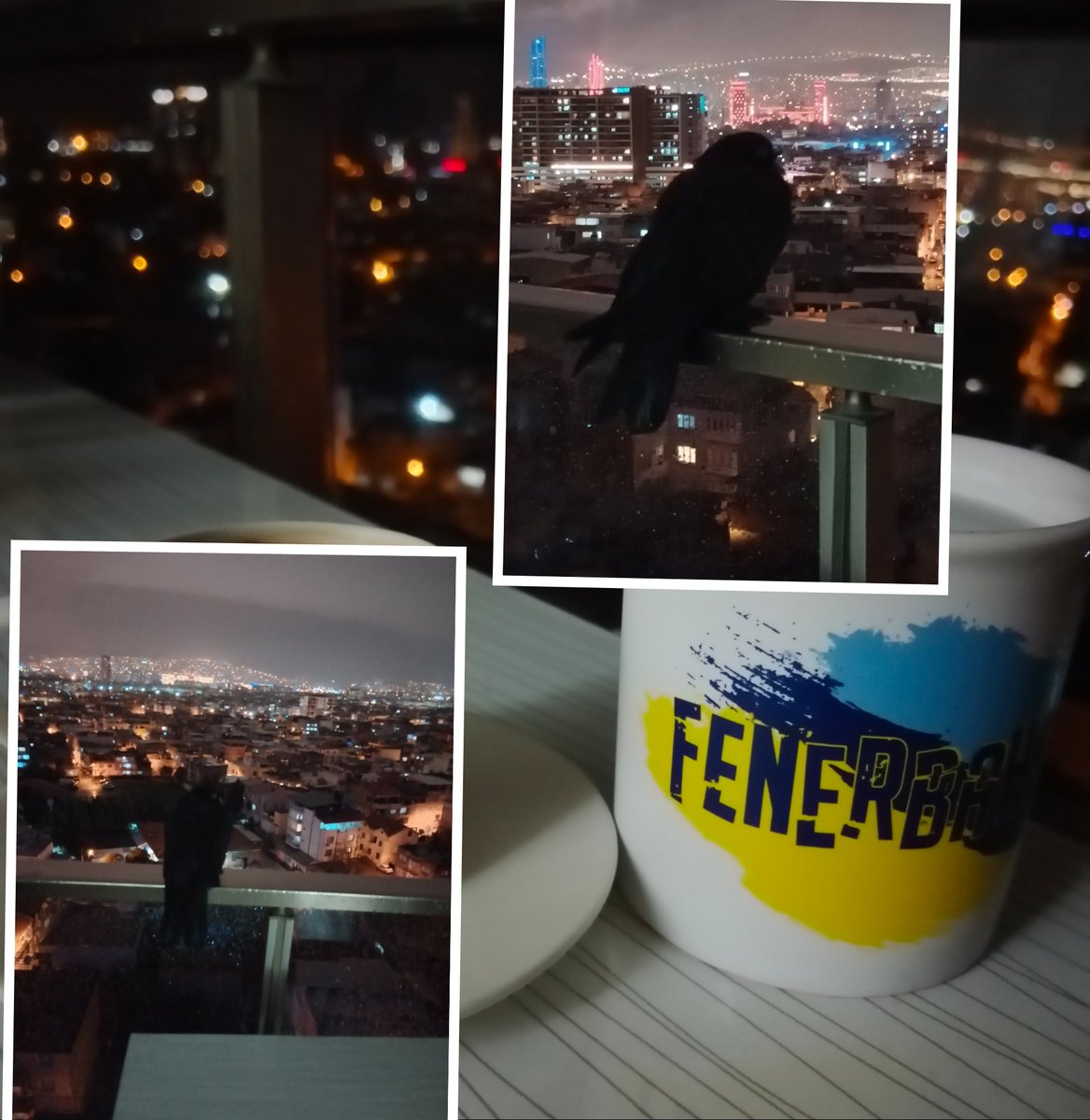 Sinsiçaky¹⁹⁰⁷ tweet media