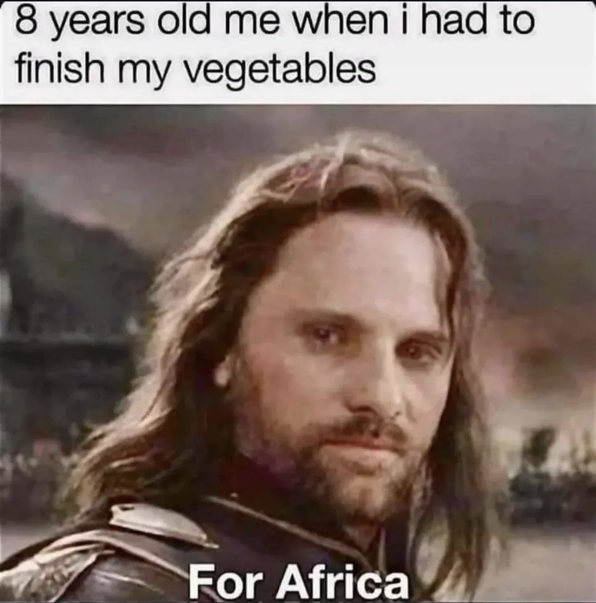 Lord of the Rings Memes tweet media