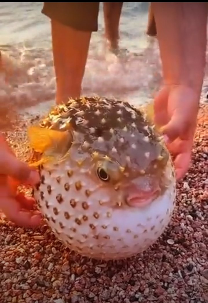 Slimdaddy tweet media