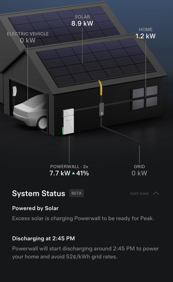 Alex Guichet tweet media