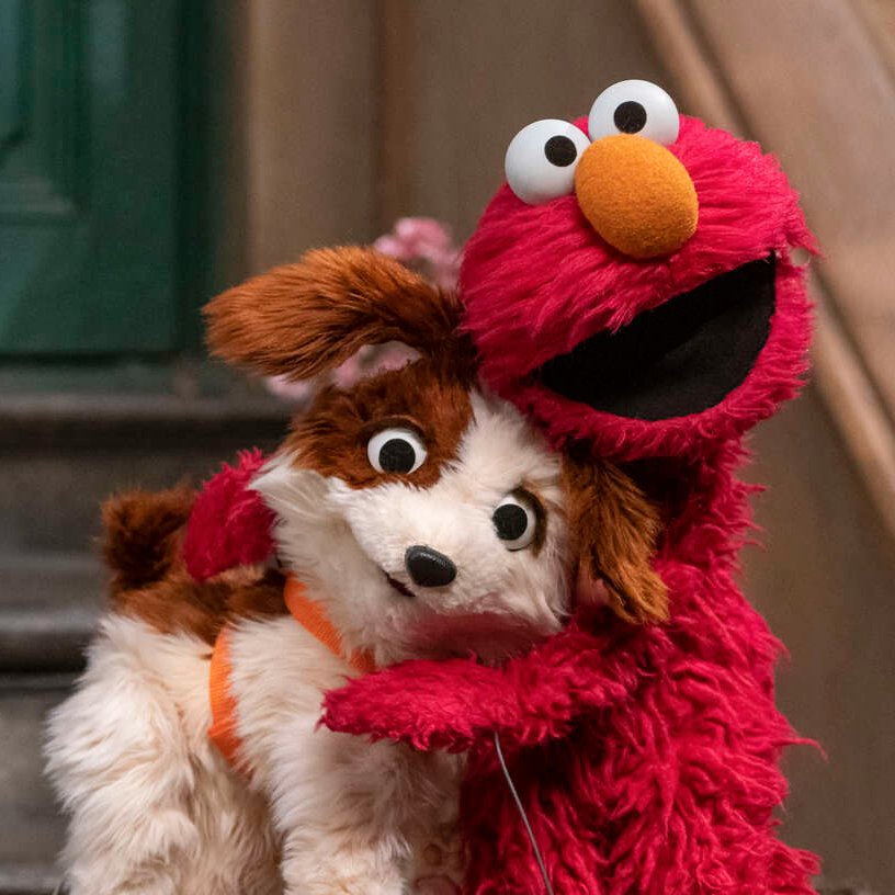 セサミストリート公式 tweet media