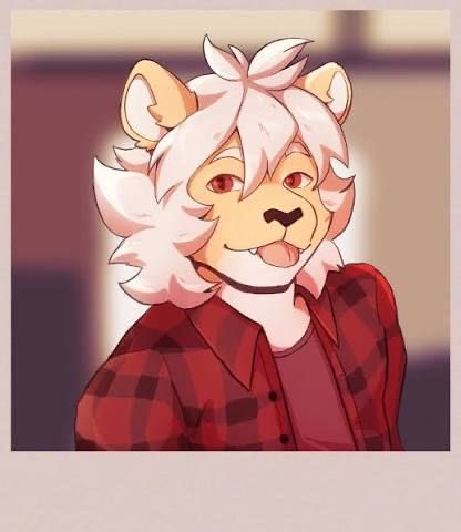 Timely Lake 🦁❤️ tweet media