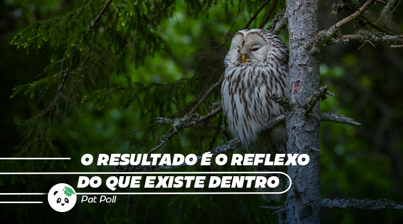 esc_novaenergia's tweet photo. Por isso, é imprescindível, que analisemos nossos atos, pensamentos, sentimentos, intenções e intuições. Os resultados externos são apenas reflexos do que foi criado internamente.
Leia o texto completo no blog:
https://t.co/wLRfuLw3Tx
@patpoll
#patpoll #resultado #heliocouto https://t.co/utYwbikLsY